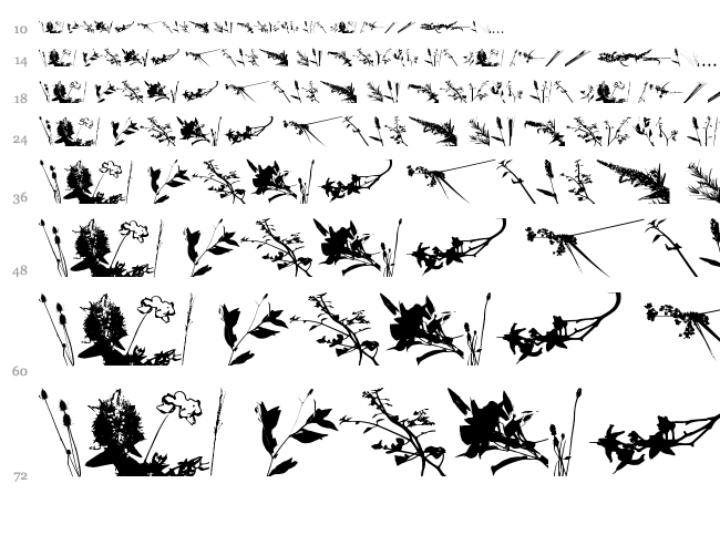Floral Flush font waterfall